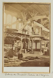 Galerie der Arbeit, Sektion Algerien