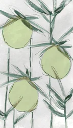Frische grüne Botanicals