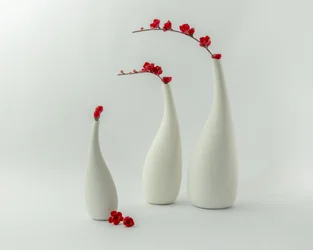 Rote Vasen und Blüten