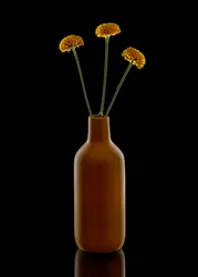 Warme Blumen Braune Vase