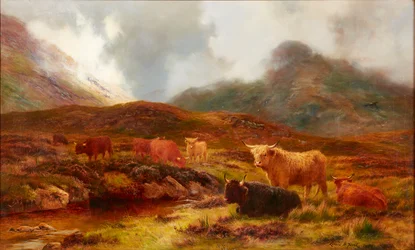 Heidelandschaft bei Clachaig, Glencoe