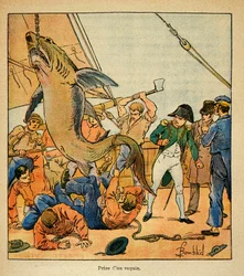 Illustration aus dem Buch „The Memorial of St. Helene“ von Graf Emmanuel de Las Cases: Kaiser Napoleon beobachtet den Fang eines Hais an Bord der Northumberland