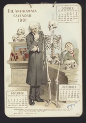 Illustration für Antikamnia Kalender