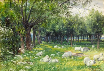 Schafe in einem Obstgarten im Frühling