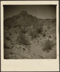 Landschaft