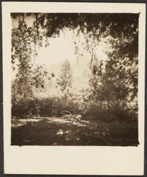 [Landschaft]