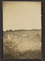 [Landschaft]