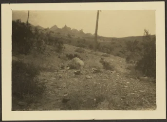 Landschaft