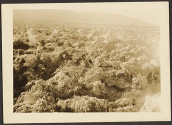 Landschaft