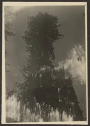 [Landschaft]