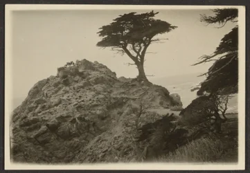 [Landschaft mit einsamer Zypresse]