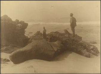 Drei Männer angeln von Felsen am Strand