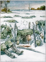 Stacheldraht, 1916