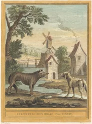 Der Wolf und der magere Hund