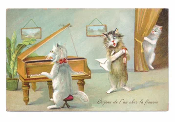 Edwardianische Postkarte mit einer Katze, die Klavier spielt, einer anderen, die singt, und einer dritten, die hervorlugt, um 1910