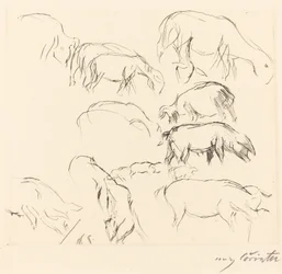 Verschiedene Tierstudien, 1917