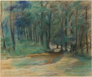 Waldweg