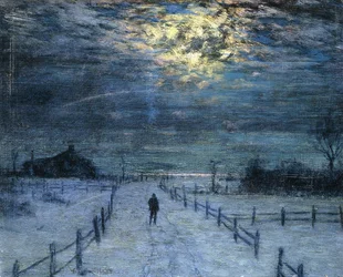 Ein winterlicher Spaziergang