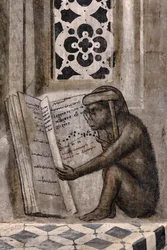 Der Affe mit Brille liest ein Buch