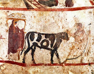 Ein Stier wird zum Opferaltar geführt. Lukanisches Fresko aus dem 4. Jahrhundert v. Chr. aus der Nekropole von Andriuolo in Paestum, Italien. Museo Nazionale Archeologico, Paestum