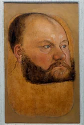 Porträt von Prinz Wolf Anhalt von Sachsen, Prinz der Reform (Pastellzeichnung von Lucas Cranach dem Älteren)