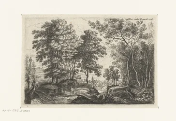 Landschaft mit einem Bach durch einen Wald