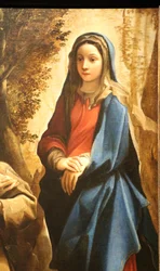 Vision des Heiligen Franziskus von Assisi