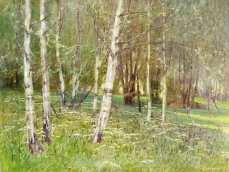 Eine bewaldete Landschaft