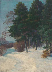 Wald im Winter