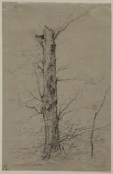 Baum, um 1835-45