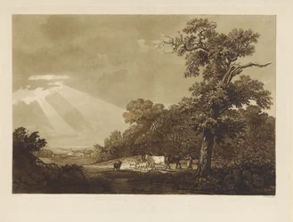 Hügelige Landschaft mit einer Herde Tiere