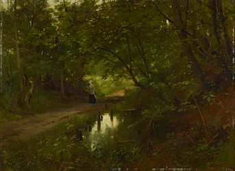 Waldinneres