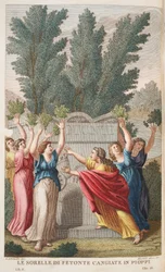 Heliaden in Bäume, die Bernstein liefern, Illustration aus Ovids Metamorphosen, Florenz, 1832