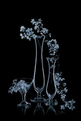 Blaue Blumen in Glasvasen