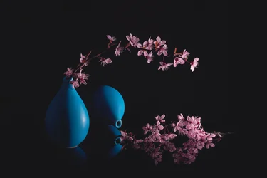 Kirschblüten und blaue Vasen