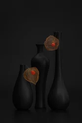 Elegantes schwarzes Physalis-Stillleben