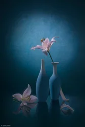 Elegante blaue Lilien