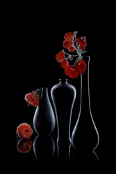 Elegante dunkle Flora