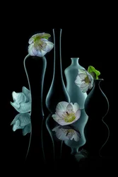 Elegantes florales Leuchten