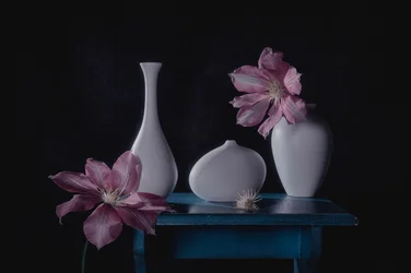 Elegantes Blumenstillleben