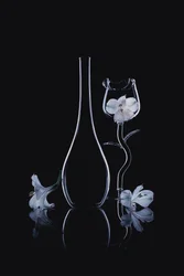 Elegante Glasorchideen