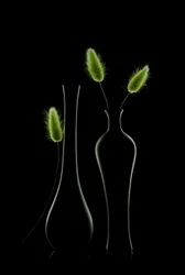 Elegantes grünes Stillleben