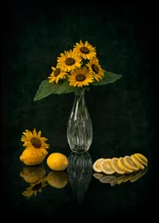 Elegantes Sonnenblumenstillleben
