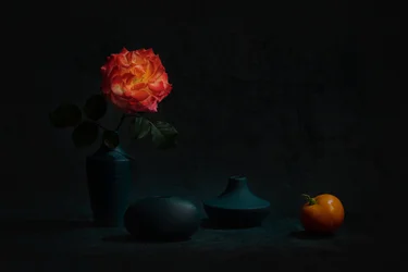 Leuchtende orangefarbene Rose