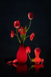 Leuchtend rote Tulpen und Vasen