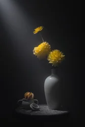 Goldene Blüten Stillleben