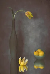 Anmutige Tulpe und Zitronen