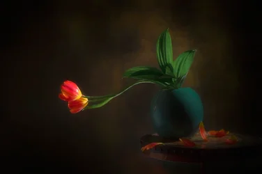 Stillleben mit anmutigen Tulpen