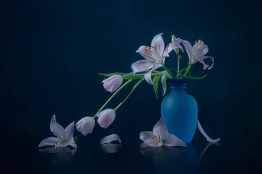Stimmungsvolle Lilien und Tulpen