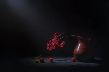 Stimmungsvolle rote Beeren